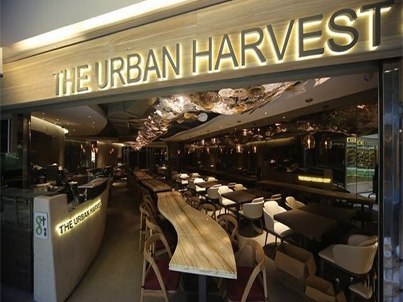 上?；春Ｖ新稫11極食餐廳